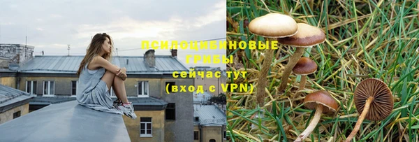 скорость Аркадак