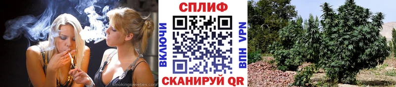 Бошки марихуана марихуана  сколько стоит  Новоузенск 